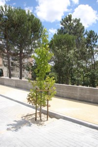 11863242_1025090597503001_8093102082175946637_n