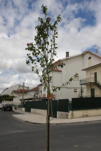 11885264_1025090580836336_1522955144062044922_n