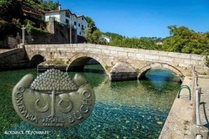 Anexo sem nome 00013 (2)