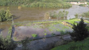 12522919_10205861071392495_7370098883023372465_n