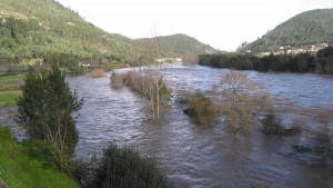 12522920_10205861071712503_2537438097791876039_n