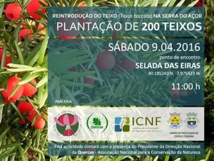 AMIGOS_SERRA DO AÇOR