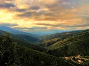 381847_325473624139348_1020327646_n[1]